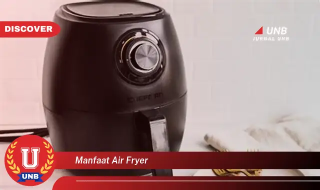 manfaat air fryer