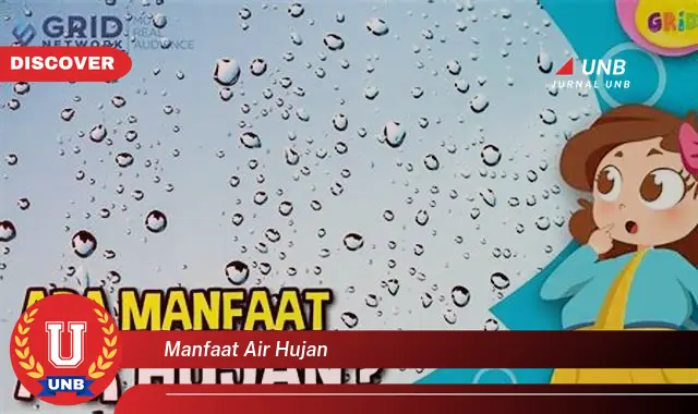 manfaat air hujan manfaat air hujan