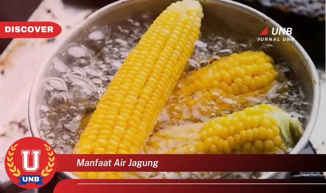 manfaat air jagung