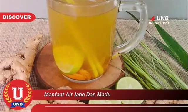 manfaat air jahe dan madu