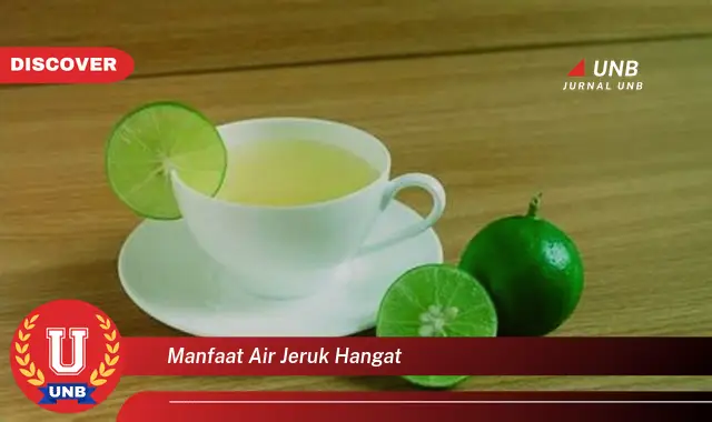 manfaat air jeruk hangat