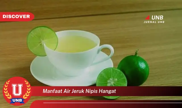 manfaat air jeruk nipis hangat