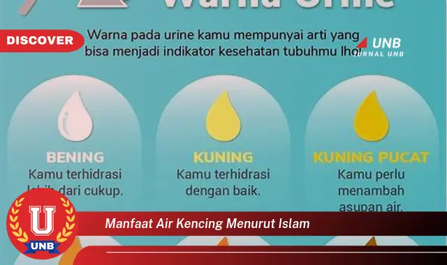 manfaat air kencing menurut islam manfaat air kencing menurut islam