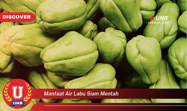 manfaat air labu siam mentah
