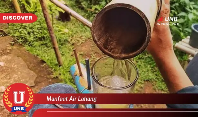 manfaat air lahang