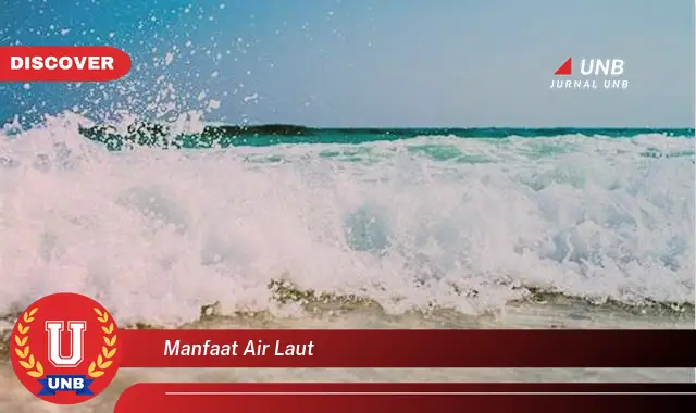 manfaat air laut manfaat air laut