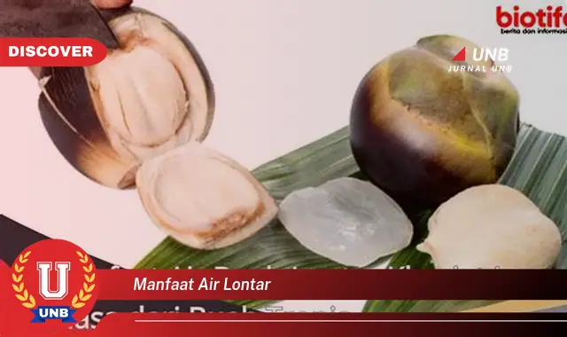 manfaat air lontar