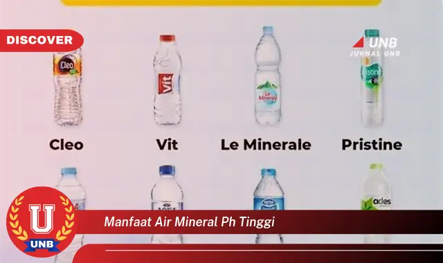 manfaat air mineral ph tinggi