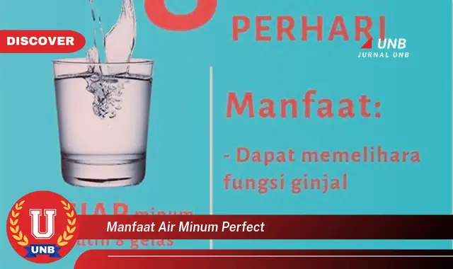 manfaat air minum perfect