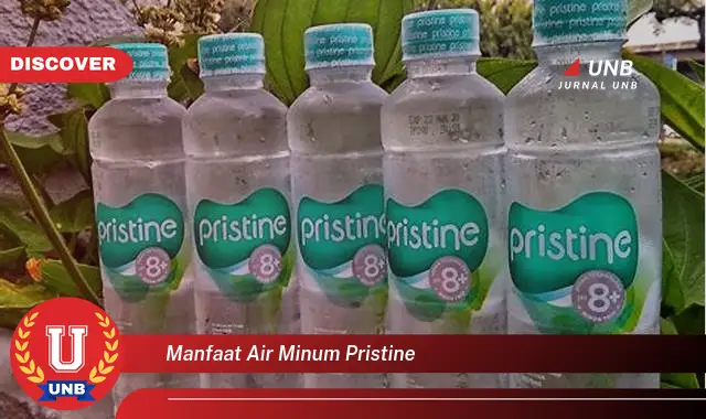 manfaat air minum pristine