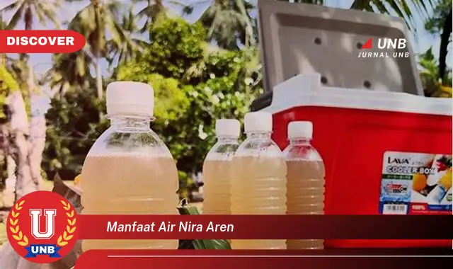 manfaat air nira aren manfaat air nira aren