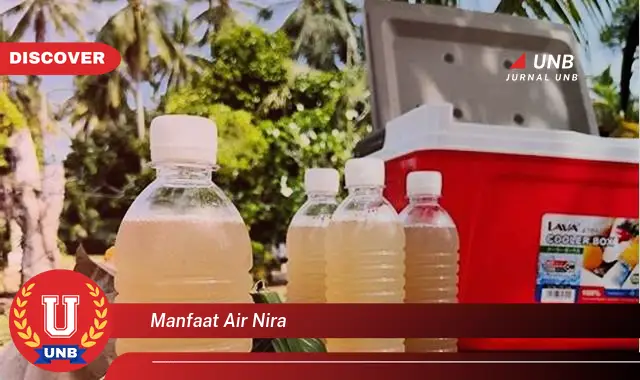 manfaat air nira