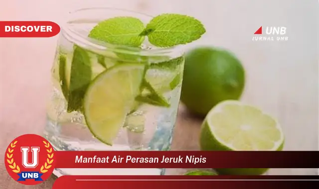 manfaat air perasan jeruk nipis