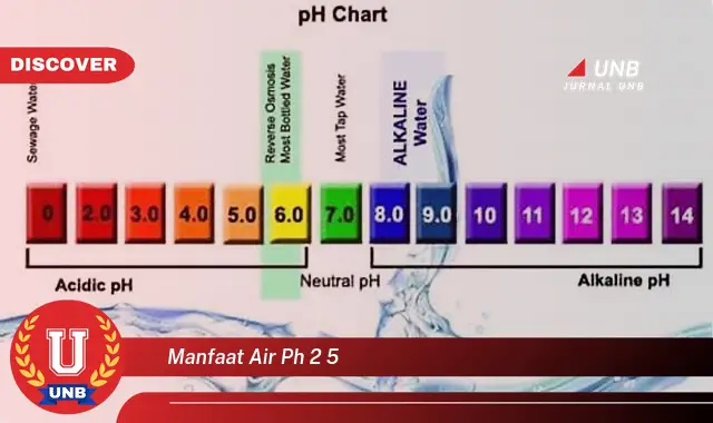 manfaat air ph 2 5