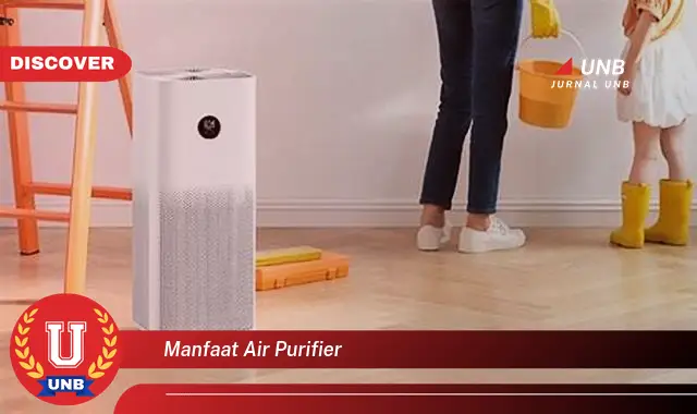 manfaat air purifier