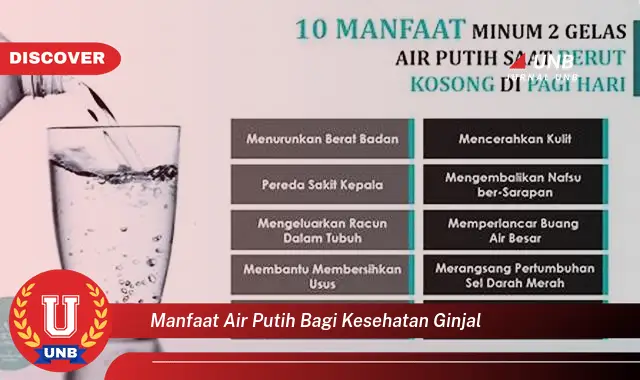 manfaat air putih bagi kesehatan ginjal