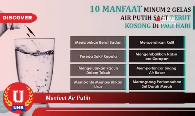 Intip 6 Manfaat Air Putih yang Bikin Kamu Penasaran