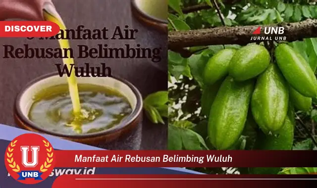 manfaat air rebusan belimbing wuluh manfaat air rebusan belimbing wuluh