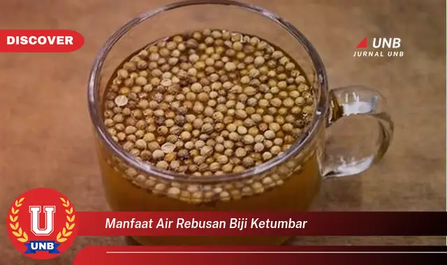 manfaat air rebusan biji ketumbar manfaat air rebusan biji ketumbar