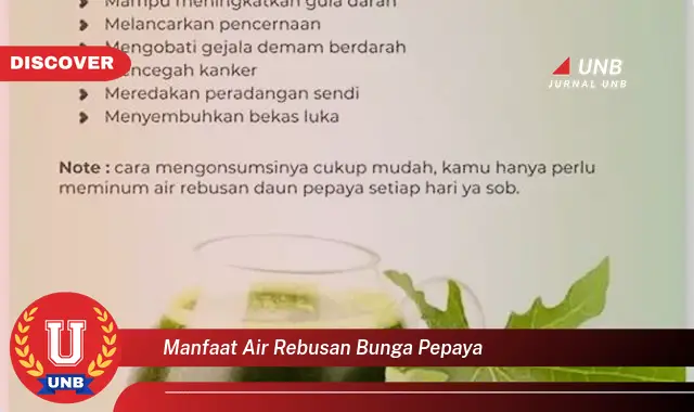 manfaat air rebusan bunga pepaya