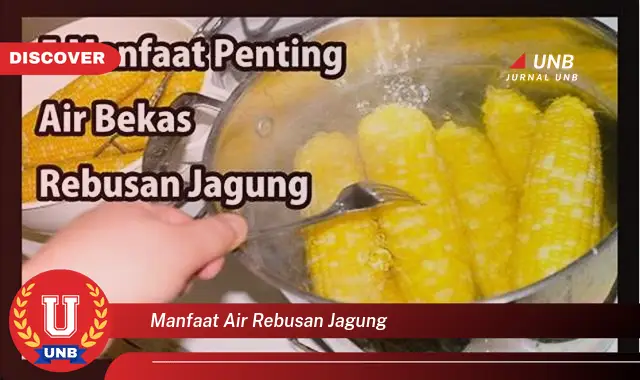 manfaat air rebusan jagung