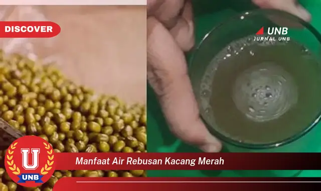 manfaat air rebusan kacang merah