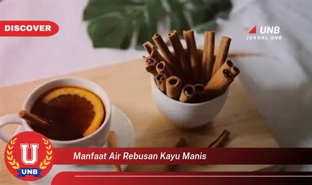manfaat air rebusan kayu manis