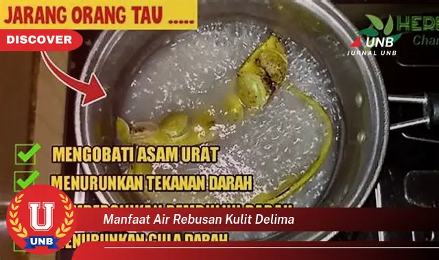 manfaat air rebusan kulit delima