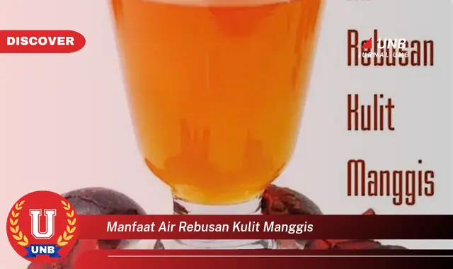 manfaat air rebusan kulit manggis