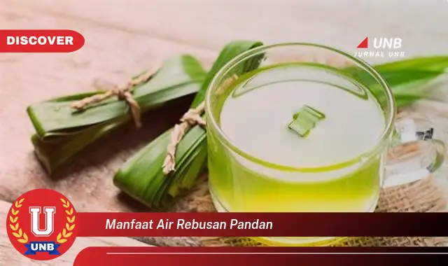 manfaat air rebusan pandan