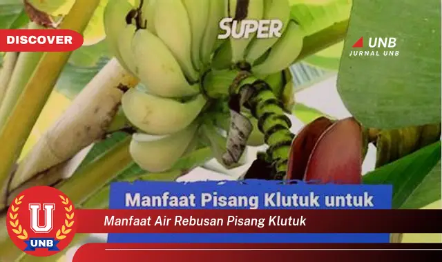 manfaat air rebusan pisang klutuk