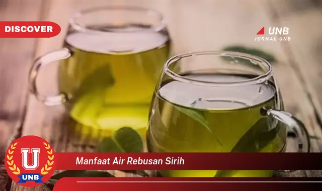 manfaat air rebusan sirih