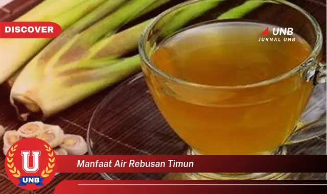 manfaat air rebusan timun manfaat air rebusan timun