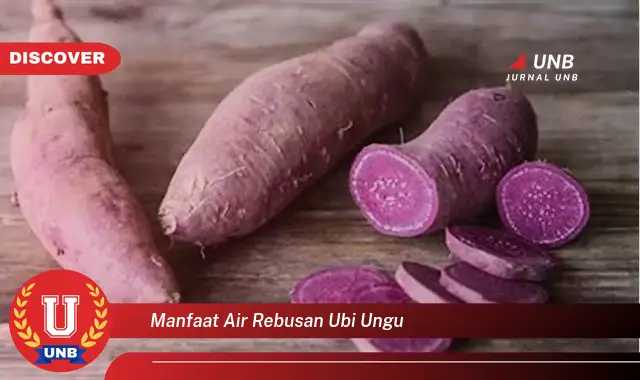 manfaat air rebusan ubi ungu