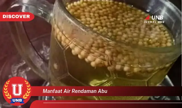 manfaat air rendaman abu