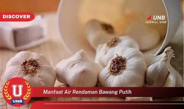 manfaat air rendaman bawang putih