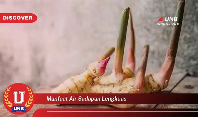 manfaat air sadapan lengkuas manfaat air sadapan lengkuas