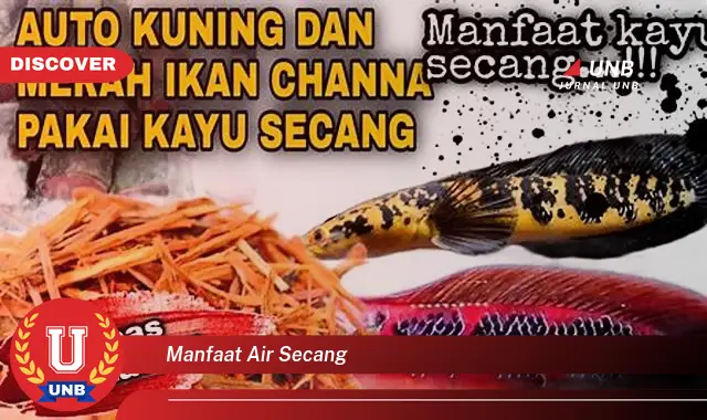 manfaat air secang