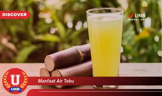 manfaat air tebu