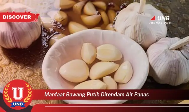 manfaat bawang putih direndam air panas