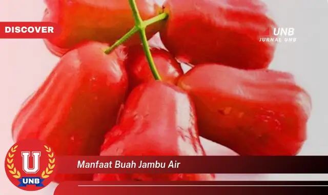 manfaat buah jambu air