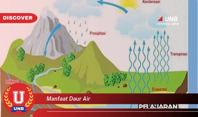 manfaat daur air