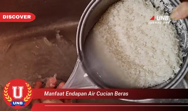 manfaat endapan air cucian beras manfaat endapan air cucian beras