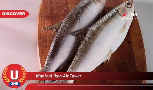 manfaat ikan air tawar manfaat ikan air tawar