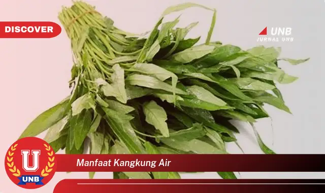 manfaat kangkung air