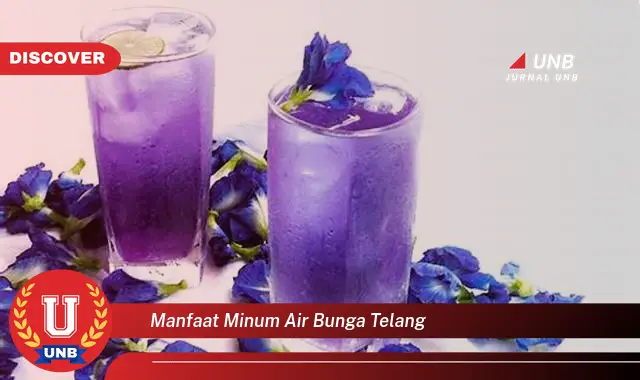 manfaat minum air bunga telang manfaat minum air bunga telang