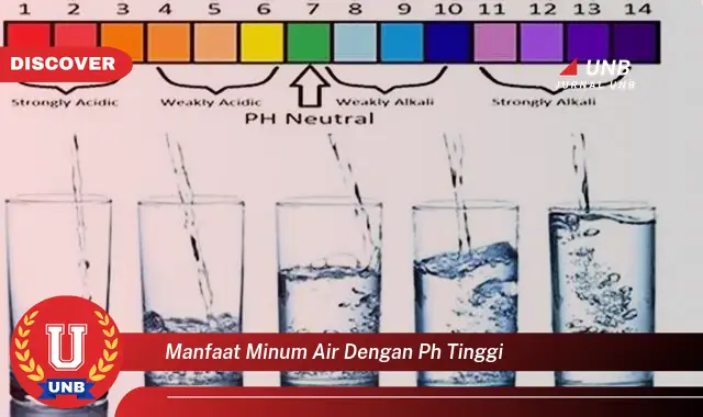 manfaat minum air dengan ph tinggi