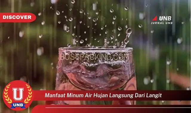 manfaat minum air hujan langsung dari langit