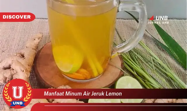 manfaat minum air jeruk lemon