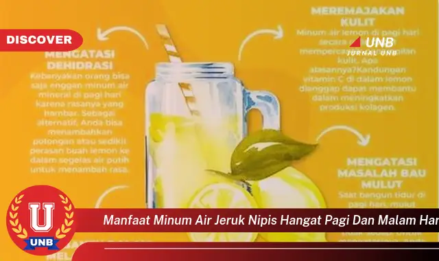 manfaat minum air jeruk nipis hangat pagi dan malam hari